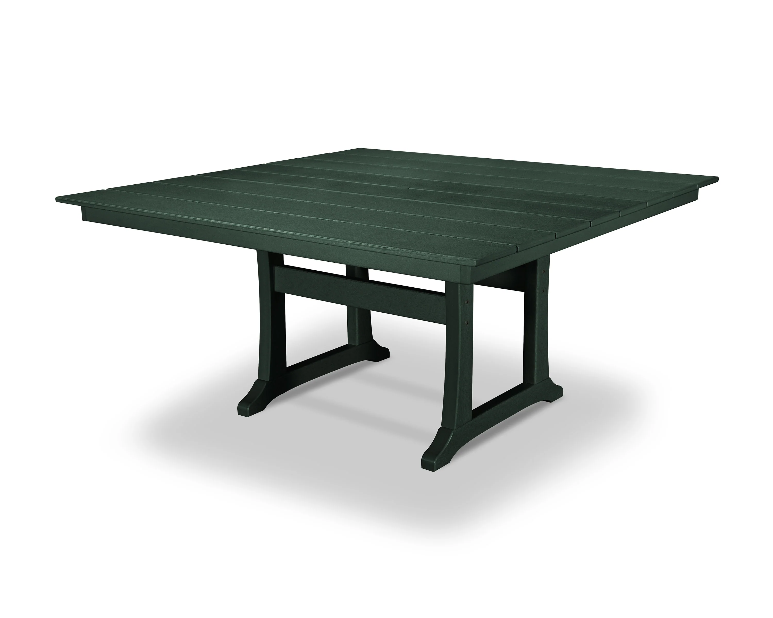 Rainforest Canopy